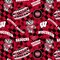 Sykel Enterprises-University of Wisconsin Cotton Quilting Fabric-Wisconsin Badgers Check Allover Cotton Fabric Sold by the Yard